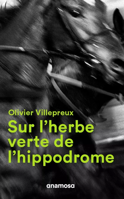 Sur l'herbe verte de l'hippodrome - Olivier Villepreux - Appaloosa LHS Editions