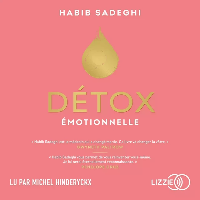 Détox émotionnelle - Habib Sadeghi - Univers Poche