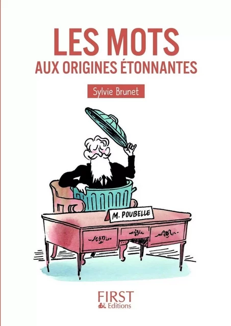 Petit Livre de - Les Mots aux origines étonnantes - Sylvie H. Brunet - edi8