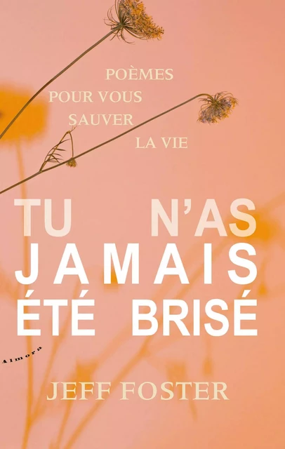 Tu n'as jamais été brisé - Jeff Foster - Dervy