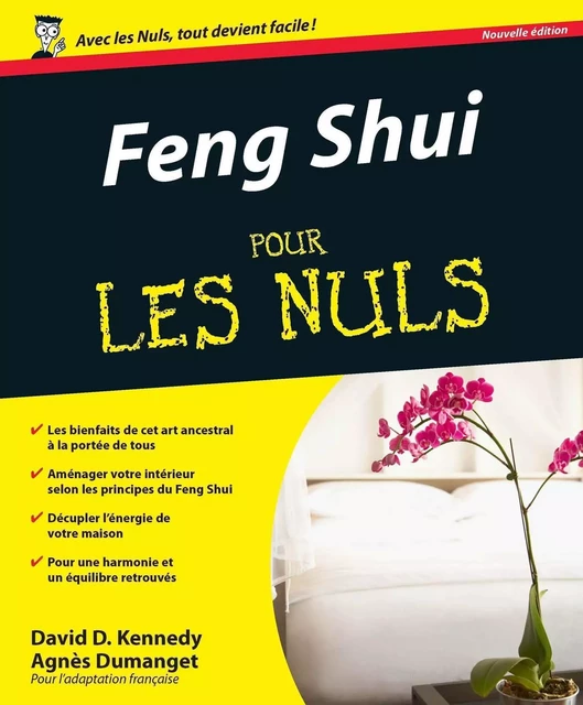 Feng Shui Pour les Nuls - David Daniel Kennedy - edi8