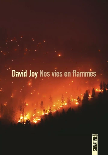 Nos vies en flammes - David Joy - Sonatine