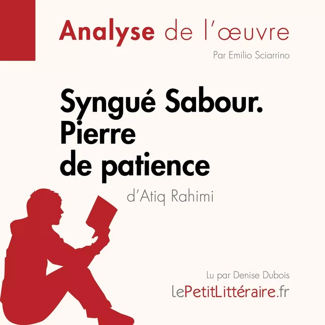 Syngué Sabour. Pierre de patience d'Atiq Rahimi (Analyse de l'oeuvre) -  lePetitLitteraire - lePetitLitteraire.fr