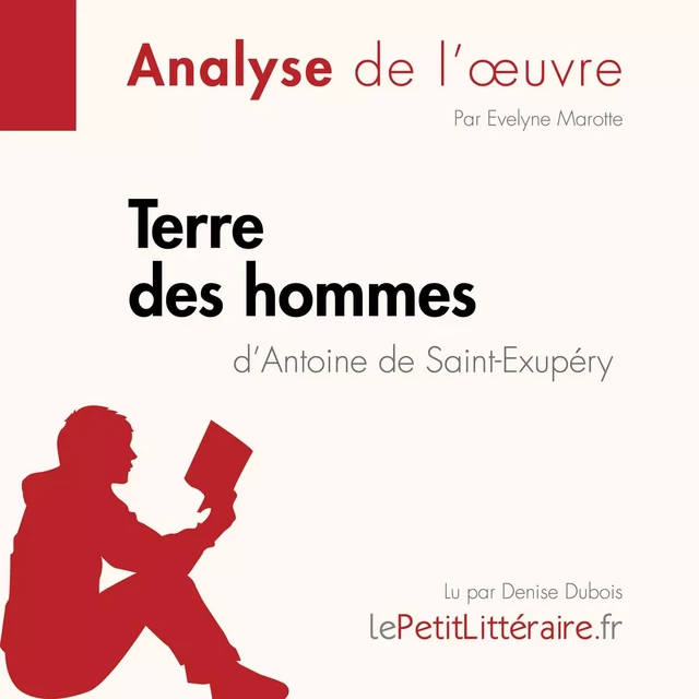 Terre des hommes d'Antoine de Saint-Exupéry (Analyse de l'oeuvre) -  lePetitLitteraire - lePetitLitteraire.fr