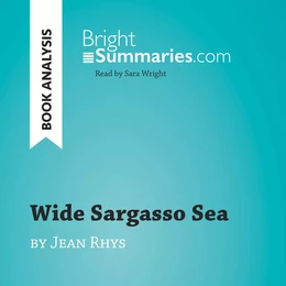 Wide Sargasso Sea by Jean Rhys (Book Analysis)