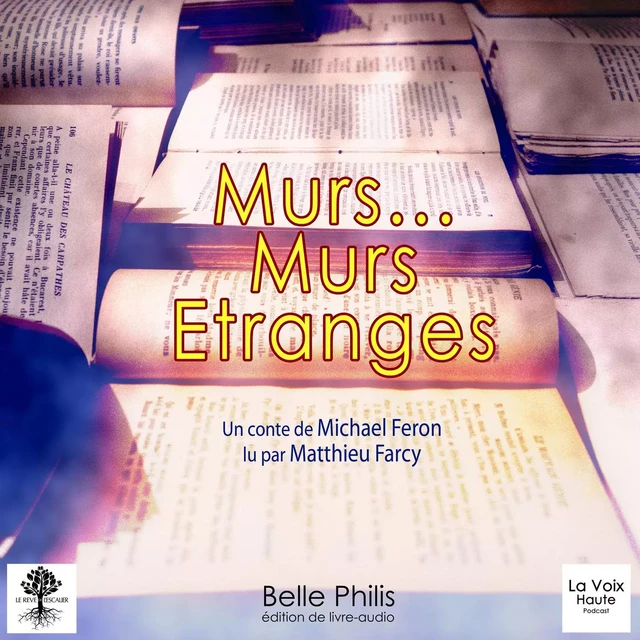 Murs… murs étranges - Michael Féron - La Boîte Bleue