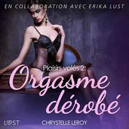 Plaisirs volés 2 : Orgasme dérobé - Une nouvelle érotique