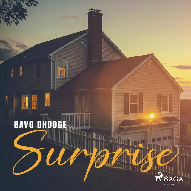 Surprise - Bavo Dhooge - Saga Egmont International