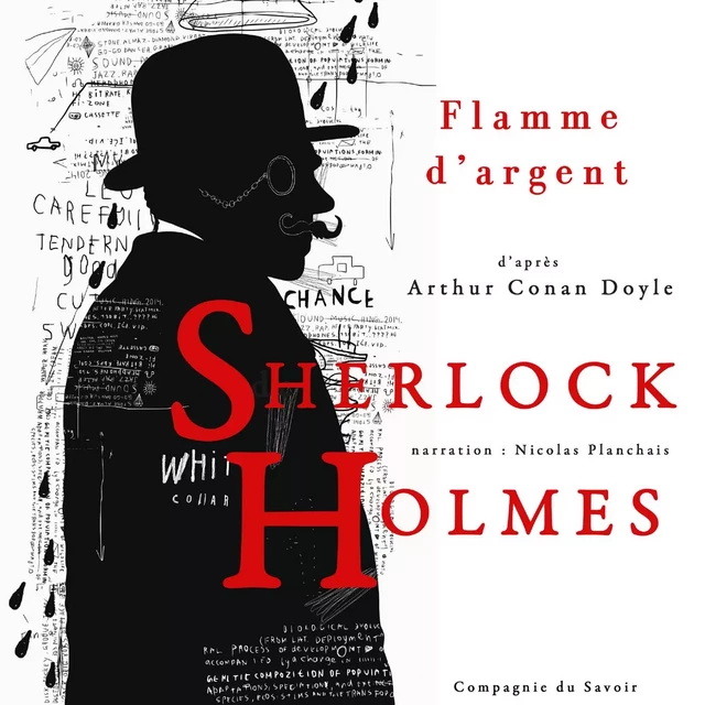 Flamme d'argent, Les enquêtes de Sherlock Holmes et du Dr Watson - Arthur Conan Doyle - Saga Egmont French