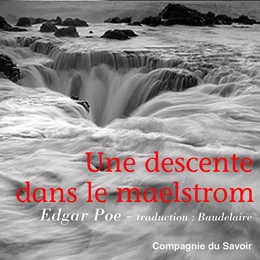 Une descente dans le Maelstrom