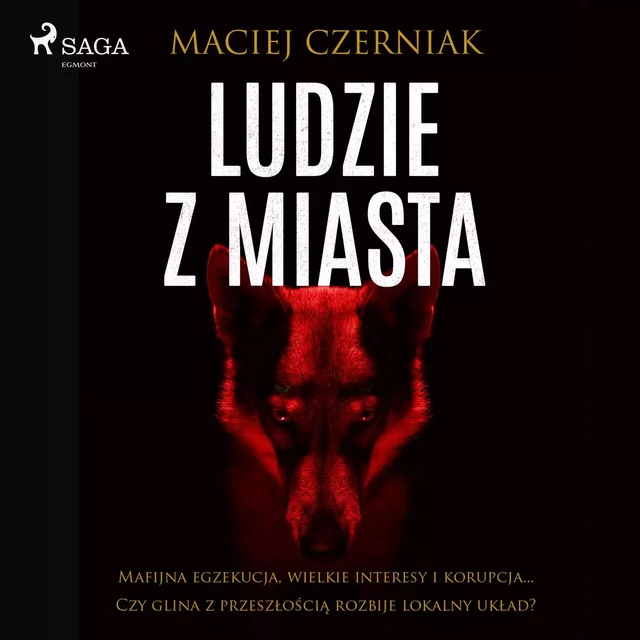 Ludzie z miasta - Maciej Czerniak - Saga Egmont International