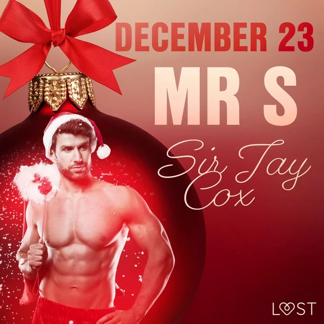 December 23: Mr S – An Erotic Christmas Calendar - Sir Jay Cox - Saga Egmont International