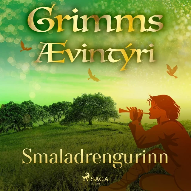 Smaladrengurinn -  Grimmsbræður - Saga Egmont International