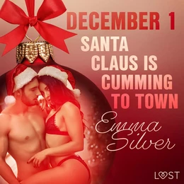 December 1: Santa Claus is cumming to town - An Erotic Christmas Calendar