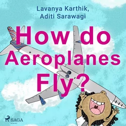 How do Aeroplanes Fly?