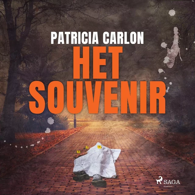 Het souvenir - Patricia Carlon - Saga Egmont International