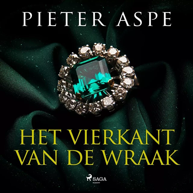 Het vierkant van de wraak - Pieter Aspe - Saga Egmont International