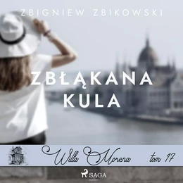 Willa Morena 17: Zbłąkana kula