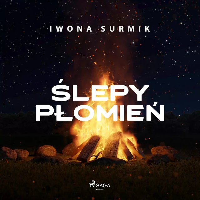 Ślepy płomień - Iwona Surmik - Saga Egmont International