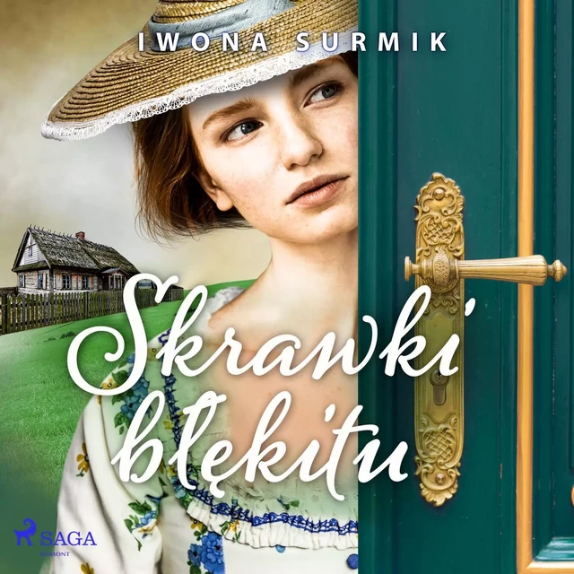 Skrawki błękitu - Iwona Surmik - Saga Egmont International