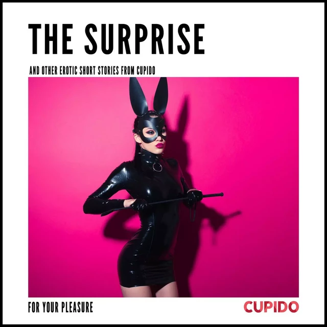 The Surprise - and other erotic short stories from Cupido -  Cupido - Saga Egmont International