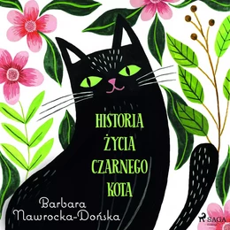 Historia życia czarnego kota