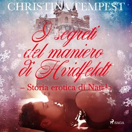 I segreti del maniero di Hvidfeldt - Storia erotica di Natale