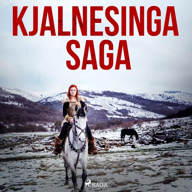 Kjalnesinga saga  -  Óþekktur - Saga Egmont International