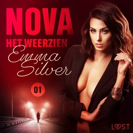 Nova 1: Het weerzien - erotisch verhaal