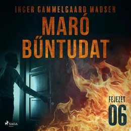 Maró bűntudat – 6. fejezet