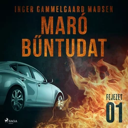 Maró bűntudat – 1. fejezet