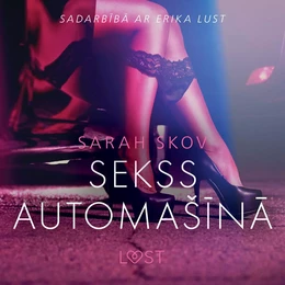 Sekss automašīnā – Erotisks stāsts