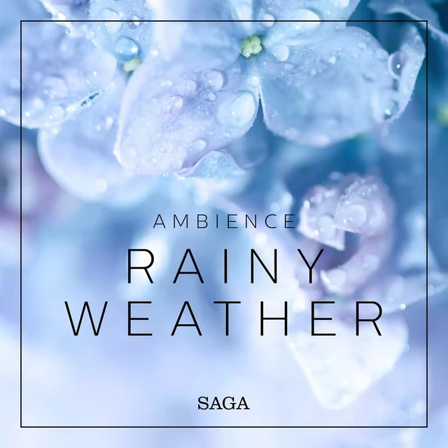 Ambience - Rainy Weather - Rasmus Broe - Saga Egmont International