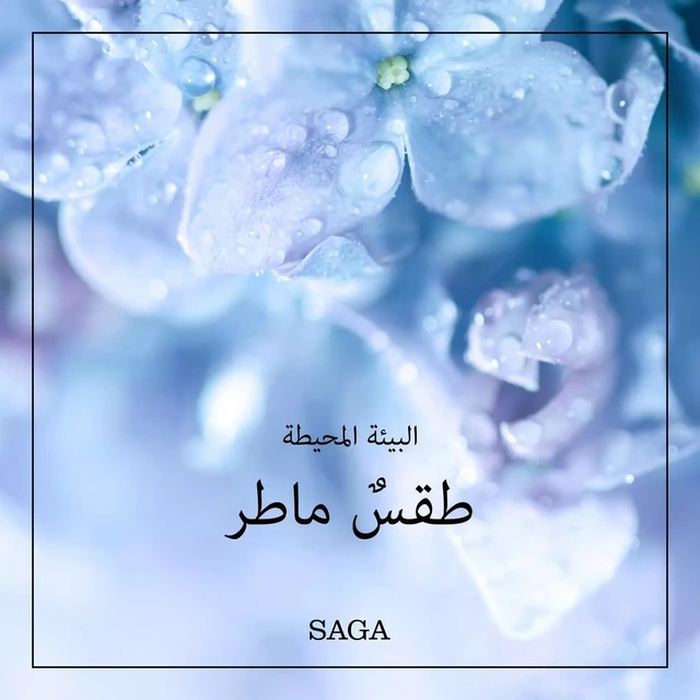 البيئة المحيطة - طقسٌ ماطر - رازموس بروه - Saga Egmont International