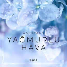 Ambiyans - Yağmurlu Hava