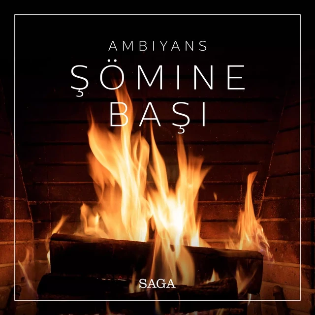 Ambiyans - Şömine Başı - Rasmus Broe - Saga Egmont International