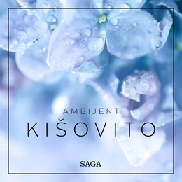 Ambijent - Kišovito