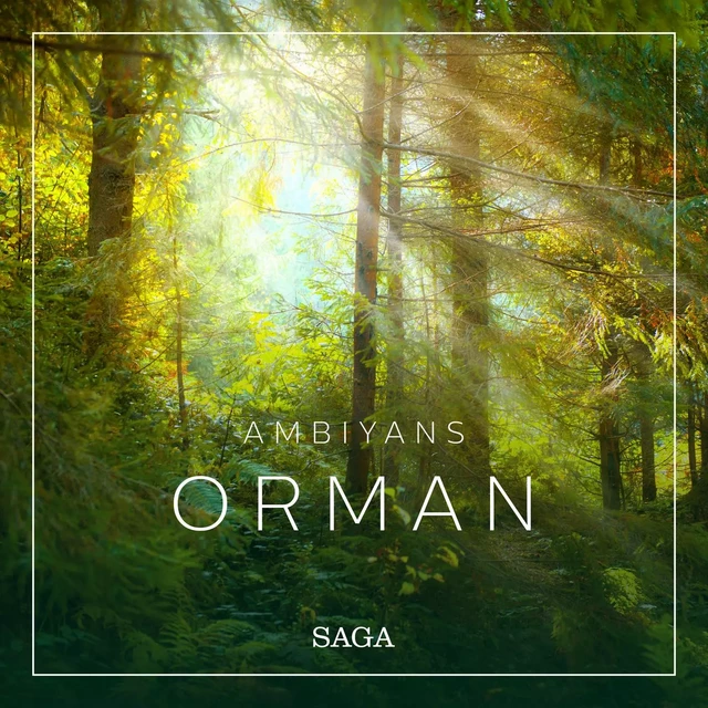 Ambiyans - Orman - Rasmus Broe - Saga Egmont International