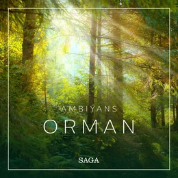 Ambiyans - Orman