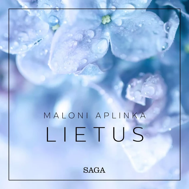 Maloni aplinka – lietus - Rasmus Broe - Saga Egmont International