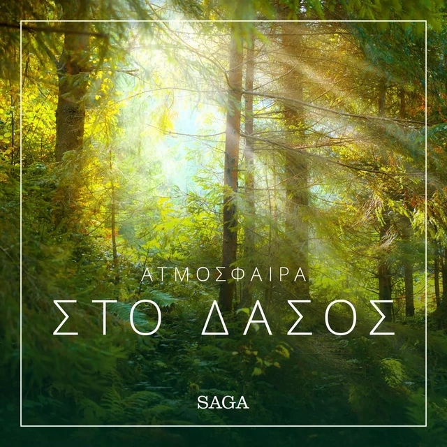 Ατμόσφαιρα - Στο δάσος - Ράζμους Μπρόι - Saga Egmont International