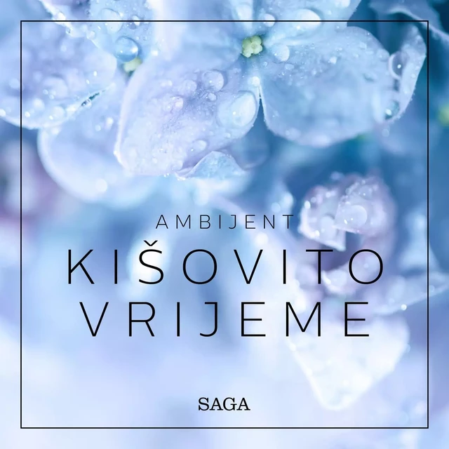 Ambijent – Kišovito vrijeme - Rasmus Broe - Saga Egmont International