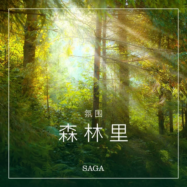 氛围——森林里 - 拉斯慕 波偌 - Saga Egmont International