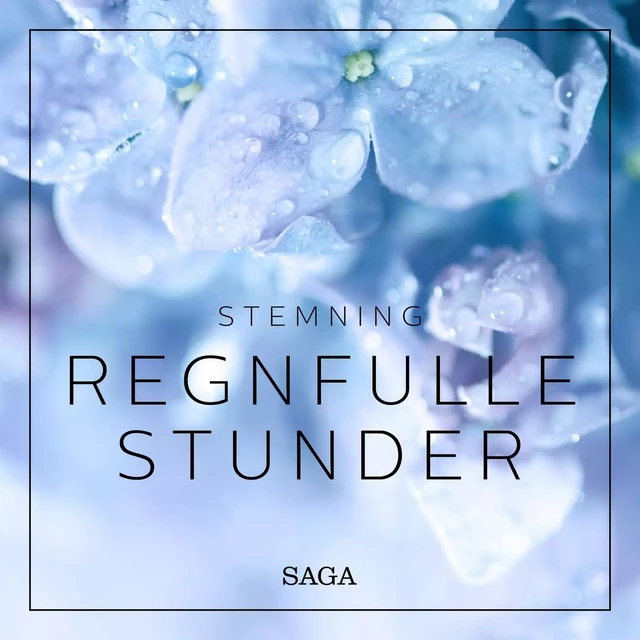 Stemning - Regnfulle stunder - Rasmus Broe - Saga Egmont International