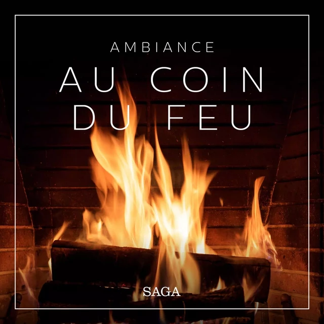 Ambiance - Au coin du feu - Rasmus Broe - Saga Egmont French