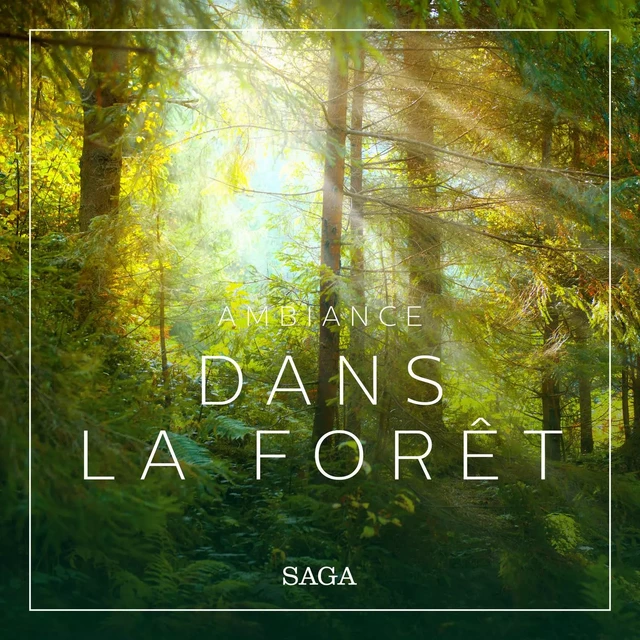 Ambiance - Dans la forêt - Rasmus Broe - Saga Egmont French