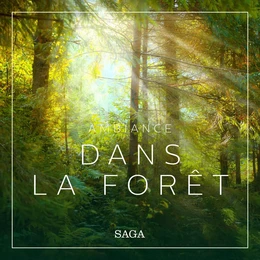 Ambiance - Dans la forêt