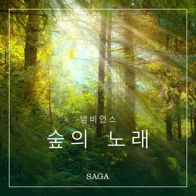 앰비언스 - 숲의 노래 - 라즈무스 브루 - Saga Egmont International