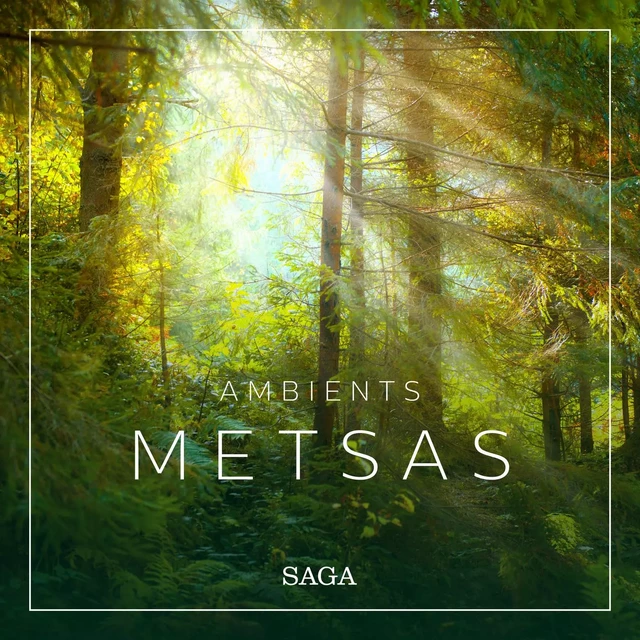 Ambients - Metsas - Rasmus Broe - Saga Egmont International