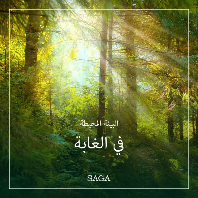 البيئة المحيطة - في الغابة - رازموس بروه - Saga Egmont International